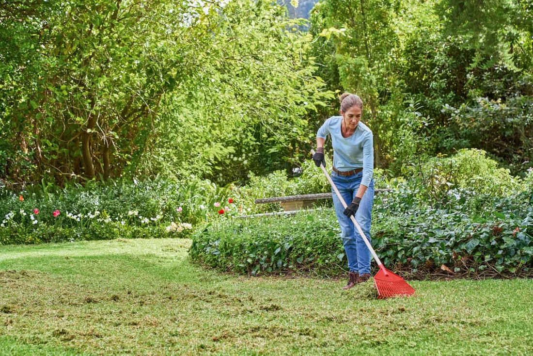 Cuidados del césped en primavera