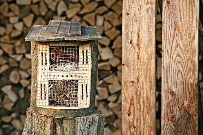 Cómo hacer un hotel para insectos