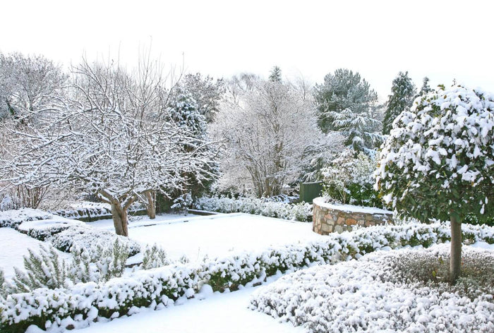 Trabajos de jardinería en invierno