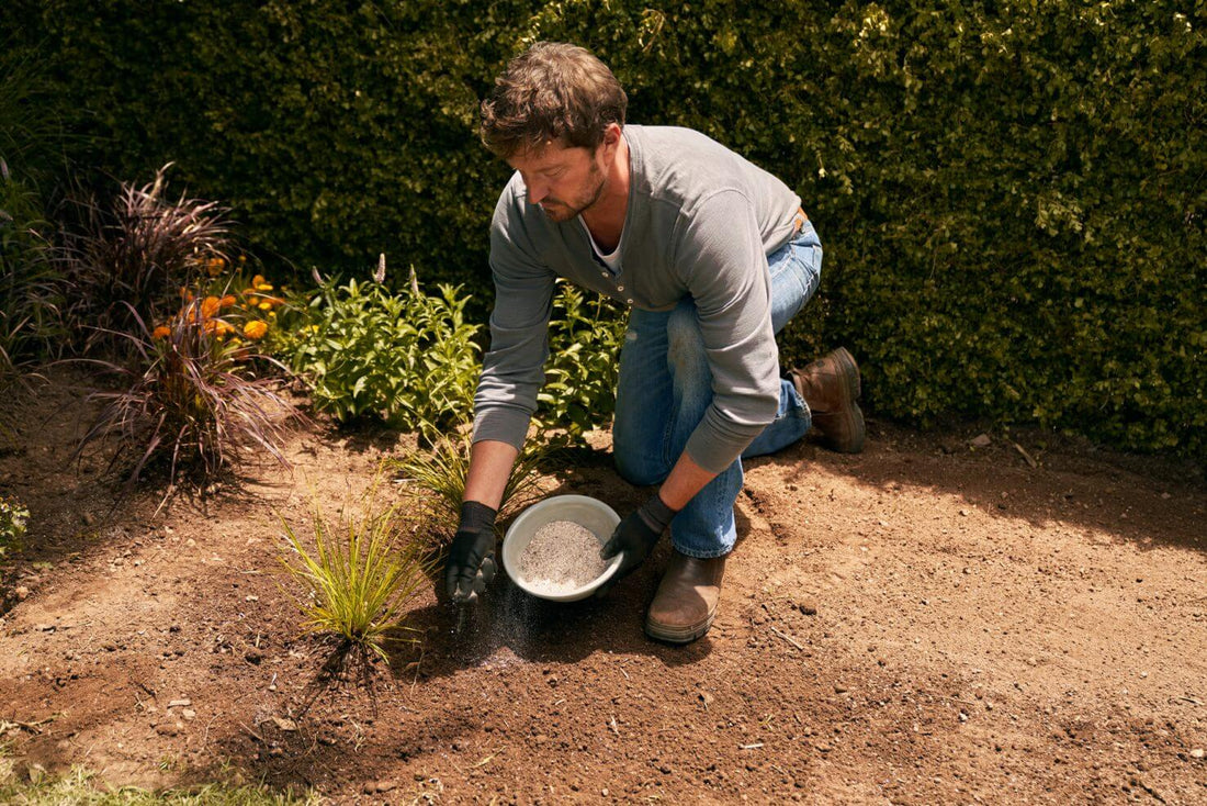 Todo sobre fertilización y abono para jardín