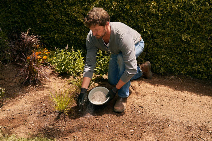 Todo sobre fertilización y abono para jardín