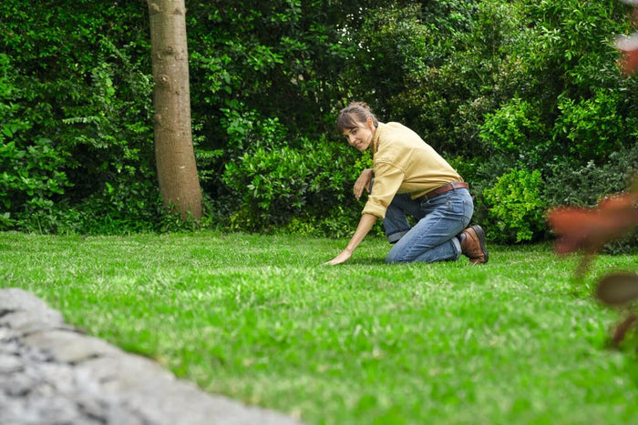 Segar, plantar y cosechar