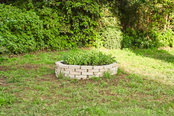 ¿Cómo quitar el tocón de un árbol? Ideas y consejos