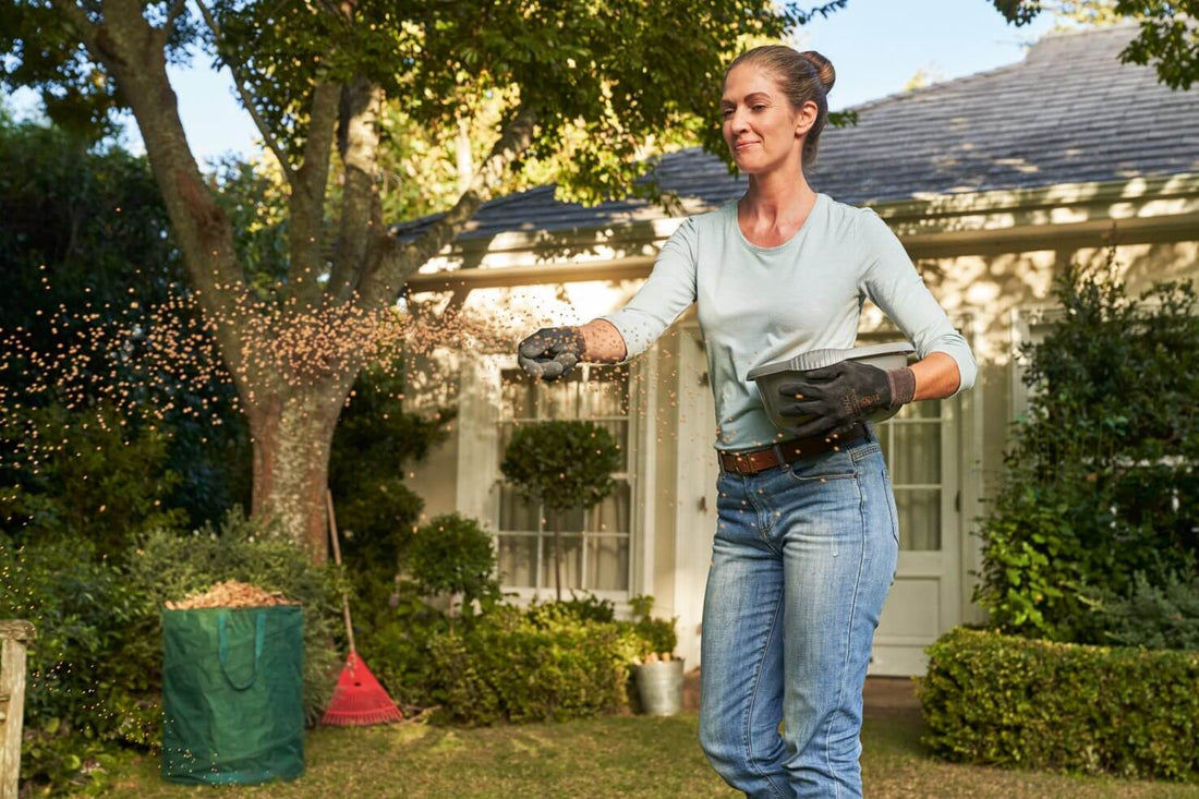 Aplicar cal sobre el césped: guía y consejos