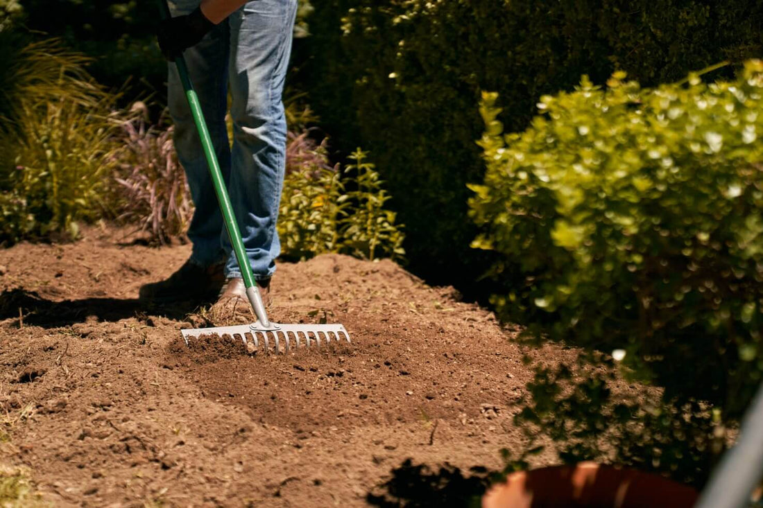 Preparación de parterres de jardín para el invierno