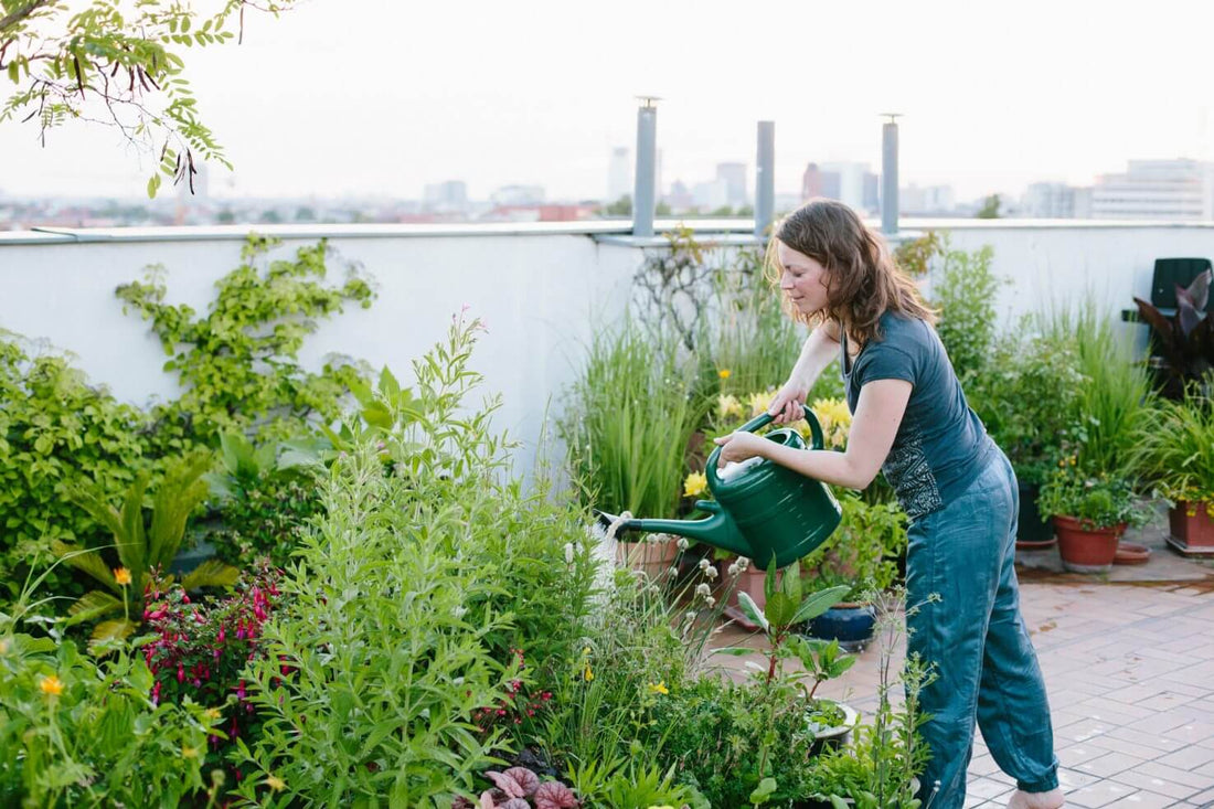 Cómo hacer un jardín en la terraza: consigue un salón con vistas