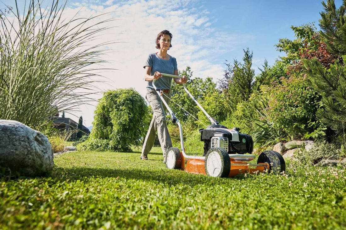 Mulching: ¿qué es?