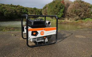 WP 300